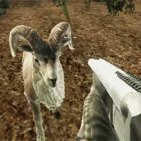 Crazy Goat Hunter is an exciting animal shooting game. You will be immersed in a lush forest filled with elusive sheep waiting to be hunted. With attractive graphics and realistic controls.