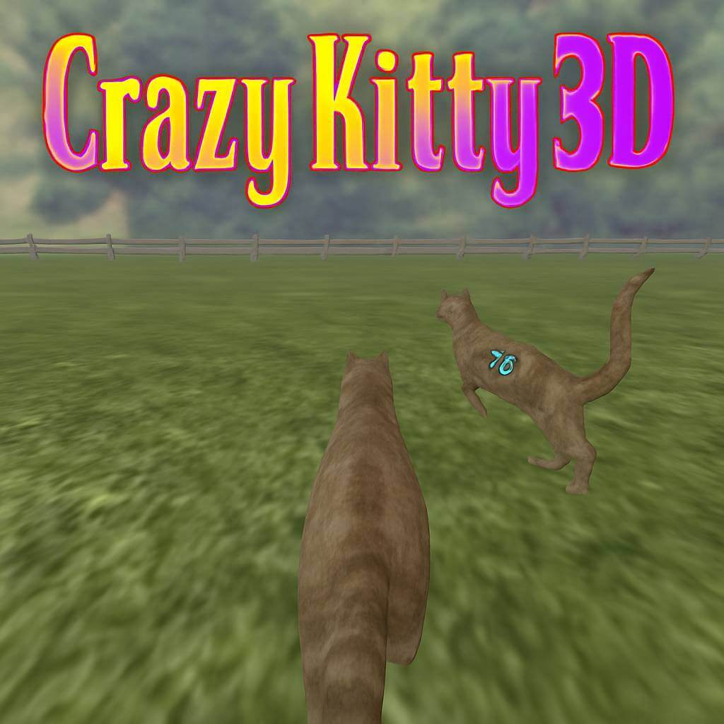 How to play Crazy Kitty 3D
