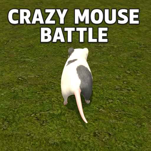 how to play Crazy mouse battle